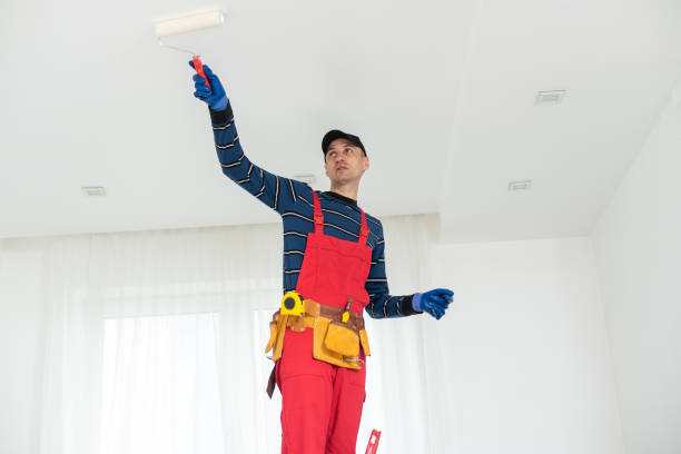 Professional Dry wall and painting in Walsenburg, CO